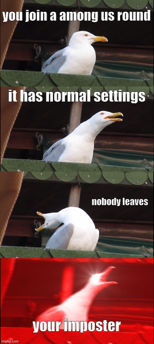 among us round | you join a among us round; it has normal settings; nobody leaves; your imposter | image tagged in memes,inhaling seagull,among us,imposter,fun,gaming | made w/ Imgflip meme maker