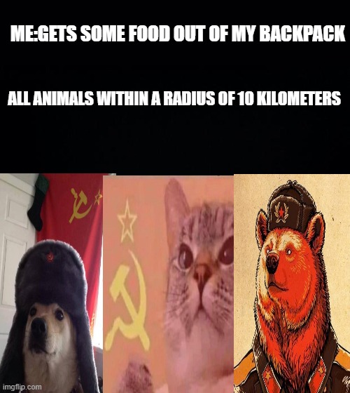 Sharing is caring |  ME:GETS SOME FOOD OUT OF MY BACKPACK; ALL ANIMALS WITHIN A RADIUS OF 10 KILOMETERS | image tagged in black background,communist cat,communist dog | made w/ Imgflip meme maker