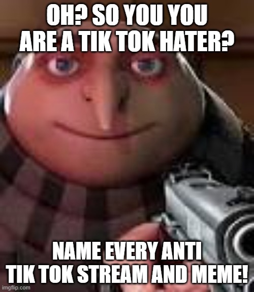 I would like people to post memes on my streams (tik tok remains garbage) | OH? SO YOU YOU ARE A TIK TOK HATER? NAME EVERY ANTI TIK TOK STREAM AND MEME! | image tagged in gru with gun | made w/ Imgflip meme maker
