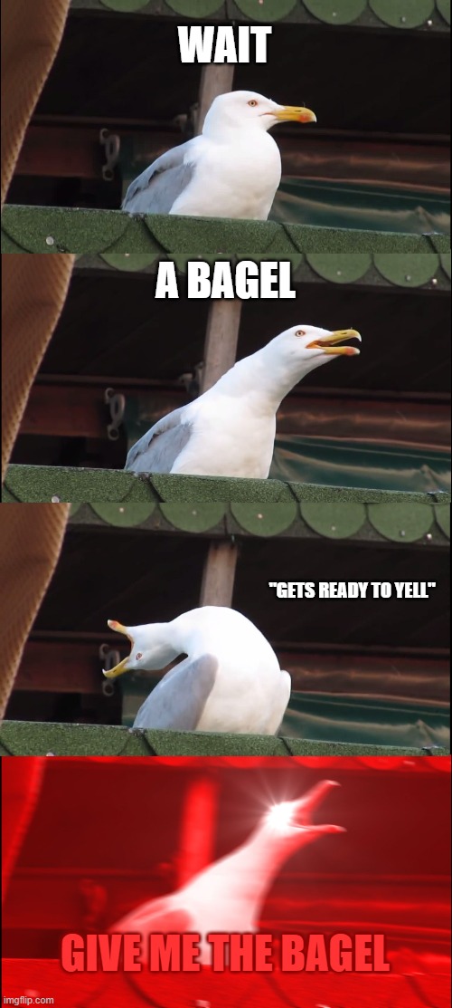 bagel | WAIT; A BAGEL; "GETS READY TO YELL"; GIVE ME THE BAGEL | image tagged in memes,inhaling seagull | made w/ Imgflip meme maker