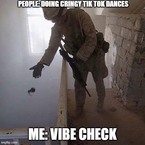 Grenade Drop | PEOPLE: DOING CRINGY TIK TOK DANCES; ME: VIBE CHECK | image tagged in grenade drop | made w/ Imgflip meme maker
