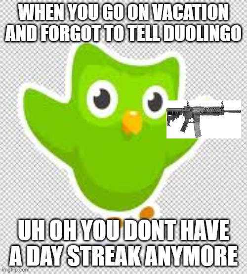 uh oh, no day streak | WHEN YOU GO ON VACATION AND FORGOT TO TELL DUOLINGO; UH OH YOU DONT HAVE A DAY STREAK ANYMORE | image tagged in duolingo | made w/ Imgflip meme maker