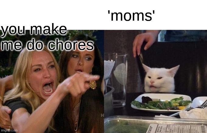 hahahaha | you make me do chores; 'moms' | image tagged in memes,woman yelling at cat | made w/ Imgflip meme maker