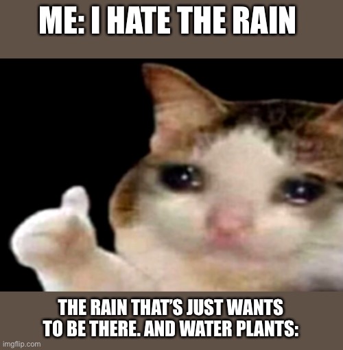 # Don’t hate the rain | ME: I HATE THE RAIN; THE RAIN THAT’S JUST WANTS TO BE THERE. AND WATER PLANTS: | image tagged in sad cat thumbs up | made w/ Imgflip meme maker