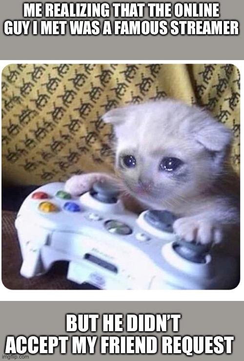 Sad cat Xbox | ME REALIZING THAT THE ONLINE GUY I MET WAS A FAMOUS STREAMER; BUT HE DIDN’T ACCEPT MY FRIEND REQUEST | image tagged in sad cat xbox | made w/ Imgflip meme maker