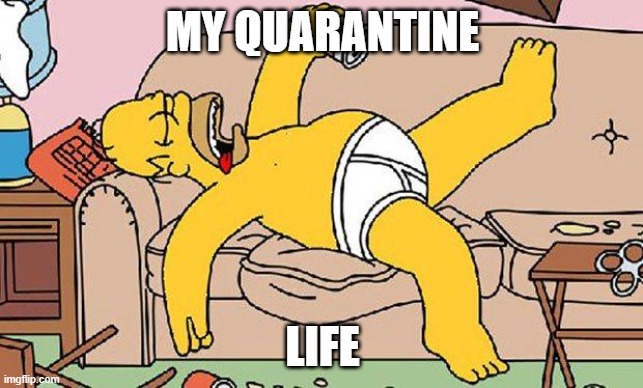 Homer-lazy | MY QUARANTINE; LIFE | image tagged in homer-lazy | made w/ Imgflip meme maker