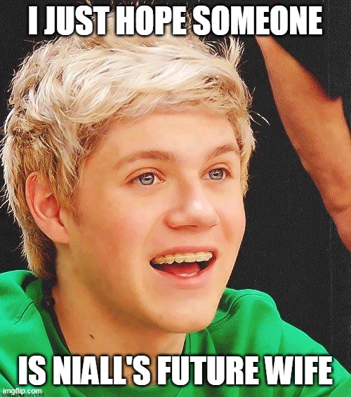 Optimistic Niall | I JUST HOPE SOMEONE IS NIALL'S FUTURE WIFE | image tagged in optimistic niall | made w/ Imgflip meme maker
