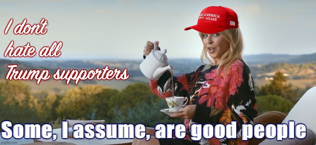 Many are druggies and rapists and murderers and bigots, but others I bet I’d get along with just fine. | I don’t hate all Trump supporters; Some, I assume, are good people | image tagged in maga kylie tea,trump supporters,maga,trump supporter,election 2020,conservative logic | made w/ Imgflip meme maker