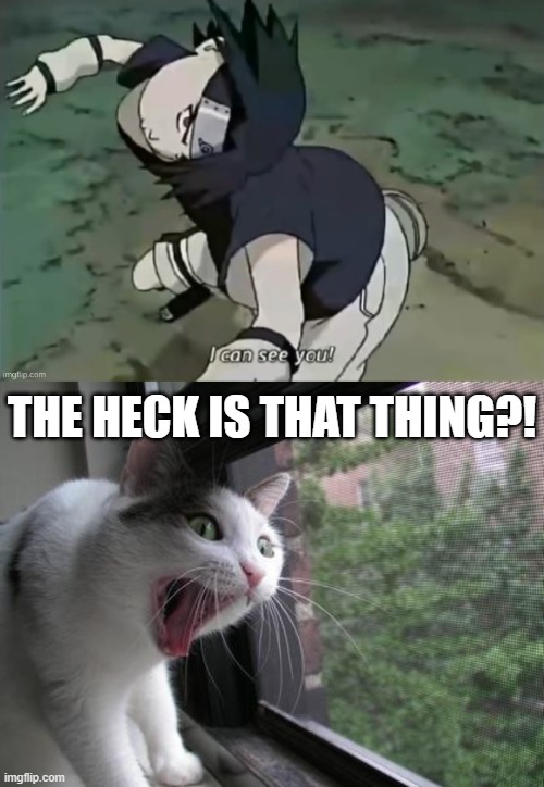 THE HECK IS THAT THING?! | image tagged in screaming cat,sasuke,cursed image | made w/ Imgflip meme maker
