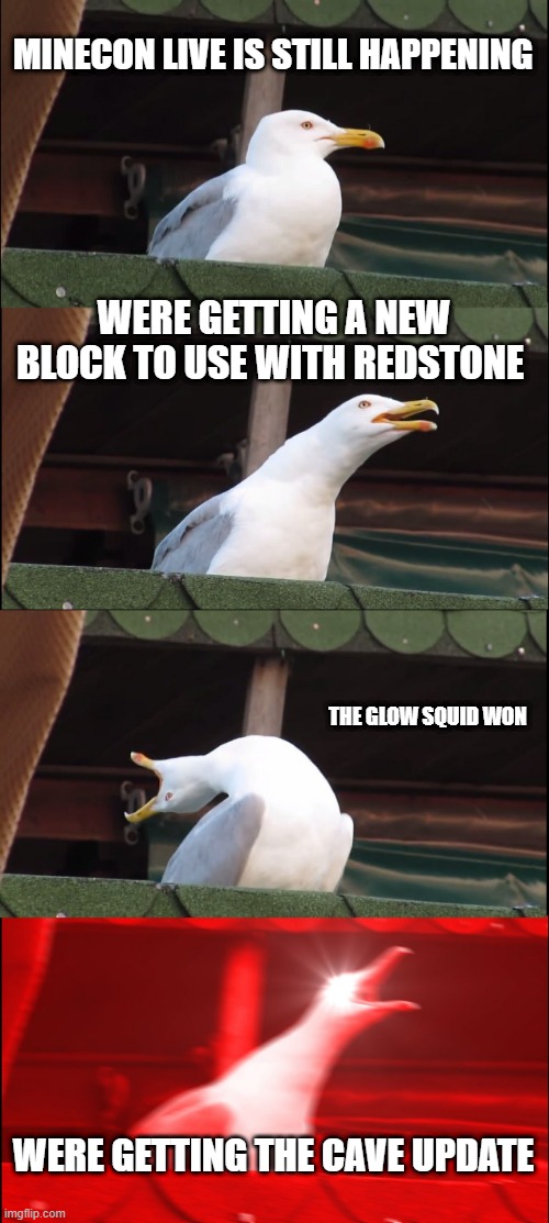 UPDATE | MINECON LIVE IS STILL HAPPENING; WERE GETTING A NEW BLOCK TO USE WITH REDSTONE; THE GLOW SQUID WON; WERE GETTING THE CAVE UPDATE | image tagged in memes,inhaling seagull | made w/ Imgflip meme maker