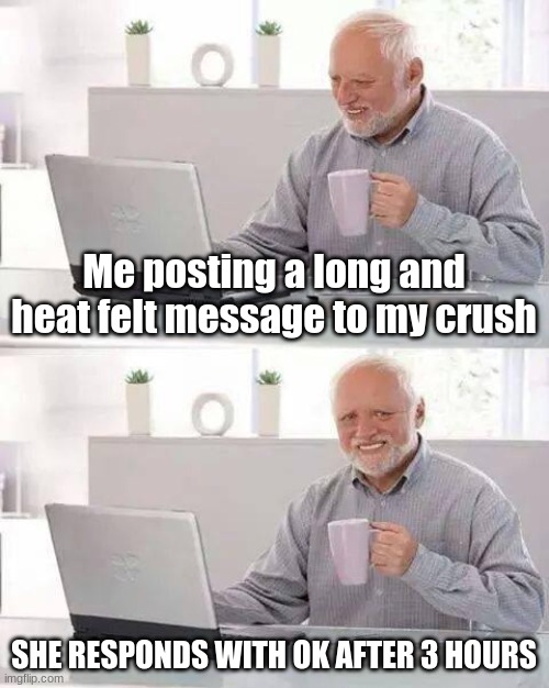 Hide the Pain Harold | Me posting a long and heat felt message to my crush; SHE RESPONDS WITH OK AFTER 3 HOURS | image tagged in memes,hide the pain harold | made w/ Imgflip meme maker