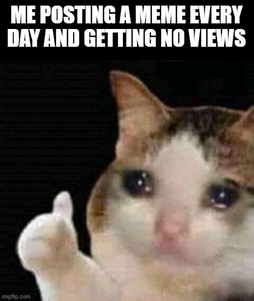 sad thumbs up cat | ME POSTING A MEME EVERY DAY AND GETTING NO VIEWS | image tagged in sad thumbs up cat,memes,dank memes,funny,fun,dank | made w/ Imgflip meme maker