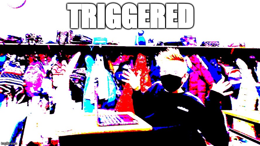 TRIGGERED | TRIGGERED | image tagged in not funny,triggered | made w/ Imgflip meme maker