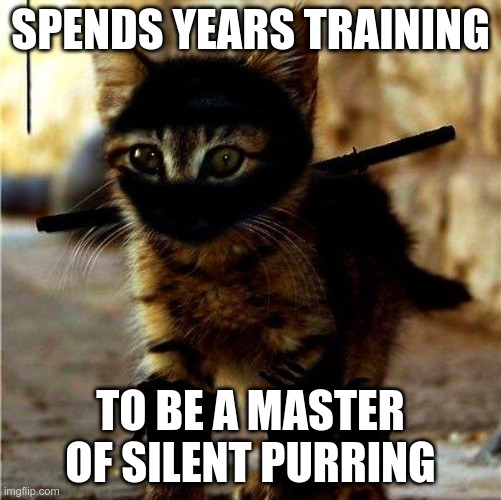 The Way of the Ninjat 3 | SPENDS YEARS TRAINING; TO BE A MASTER OF SILENT PURRING | image tagged in ninja cat | made w/ Imgflip meme maker
