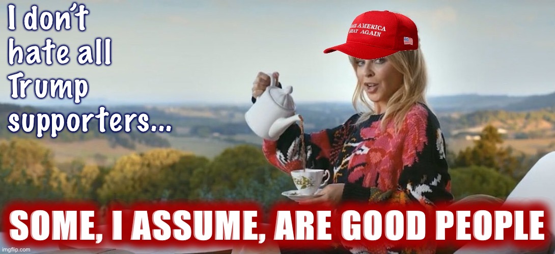MAGA Kylie I don’t hate all Trump supporters Blank Meme Template