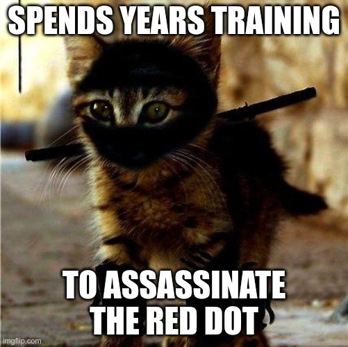 The Way of the Ninjat | SPENDS YEARS TRAINING; TO ASSASSINATE THE RED DOT | image tagged in ninja cat | made w/ Imgflip meme maker