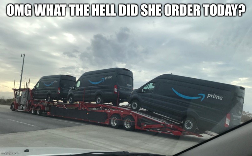 Amazon delivery | OMG WHAT THE HELL DID SHE ORDER TODAY? | image tagged in omg amazon | made w/ Imgflip meme maker