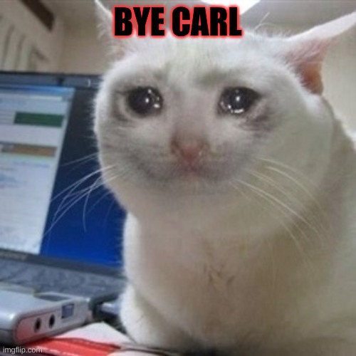 Crying cat | BYE CARL | image tagged in crying cat | made w/ Imgflip meme maker