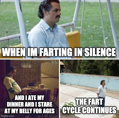 The fart cycle | WHEN IM FARTING IN SILENCE; AND I ATE MY DINNER AND I STARE AT MY BELLY FOR AGES; THE FART CYCLE CONTINUES | image tagged in memes,sad pablo escobar | made w/ Imgflip meme maker