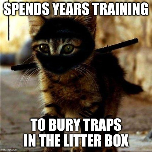 The Way of the Ninjat 4 | SPENDS YEARS TRAINING; TO BURY TRAPS IN THE LITTER BOX | image tagged in ninja cat | made w/ Imgflip meme maker