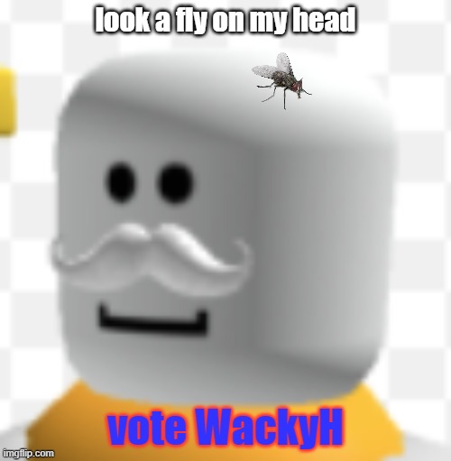 look a fly on my head; vote WackyH | made w/ Imgflip meme maker