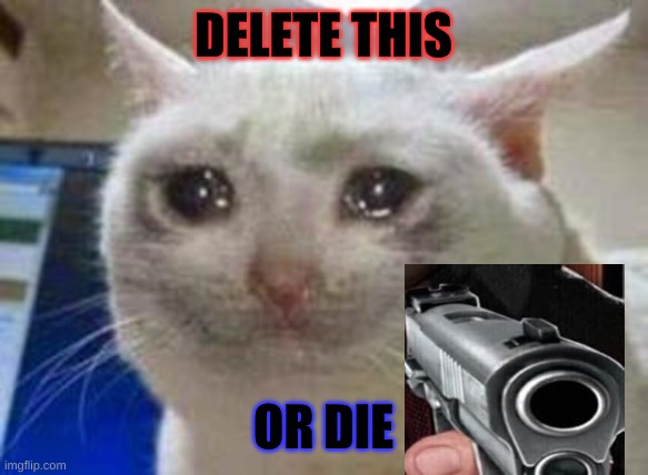 Sad cat | DELETE THIS OR DIE | image tagged in sad cat | made w/ Imgflip meme maker