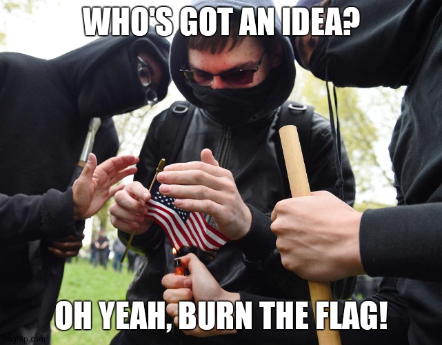 Antifa Sparks Micro-Revolution | WHO'S GOT AN IDEA? OH YEAH, BURN THE FLAG! | image tagged in antifa sparks micro-revolution | made w/ Imgflip meme maker