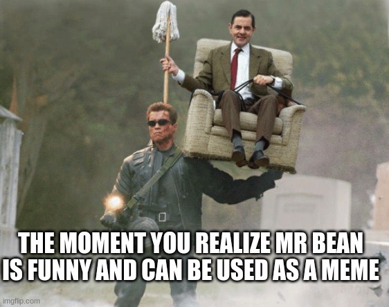 Arnold Schwarzenegger Mr. Bean | THE MOMENT YOU REALIZE MR BEAN IS FUNNY AND CAN BE USED AS A MEME | image tagged in arnold schwarzenegger mr bean | made w/ Imgflip meme maker