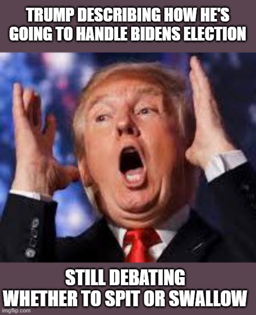 TRUMP DESCRIBING HOW HE'S GOING TO HANDLE BIDENS ELECTION STILL DEBATING WHETHER TO SPIT OR SWALLOW | made w/ Imgflip meme maker