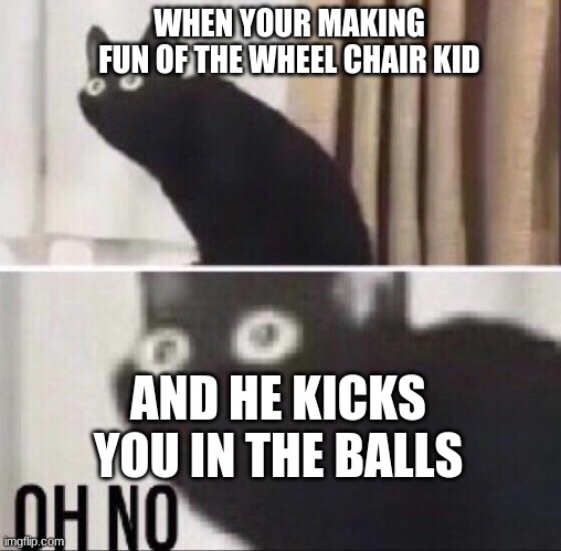 you done messed up now | WHEN YOUR MAKING FUN OF THE WHEEL CHAIR KID; AND HE KICKS YOU IN THE BALLS | image tagged in oh no cat | made w/ Imgflip meme maker