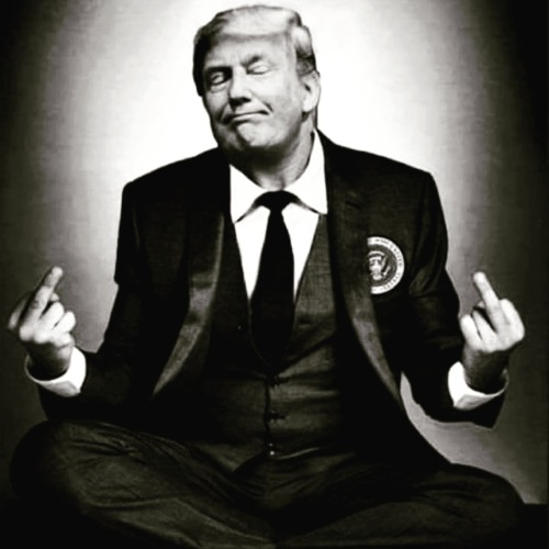 Message from President Trump to  Liberals: Fuck Your Feelings | image tagged in trump 2020,fuck your feelings,triggering liberals,stupid liberals,never go full retard,special kind of stupid | made w/ Imgflip meme maker
