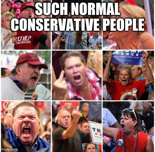 Triggered Trump supporters | SUCH NORMAL CONSERVATIVE PEOPLE | image tagged in triggered trump supporters | made w/ Imgflip meme maker