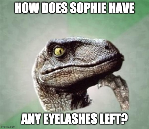 how tho... | HOW DOES SOPHIE HAVE; ANY EYELASHES LEFT? | image tagged in t-rex wonder | made w/ Imgflip meme maker