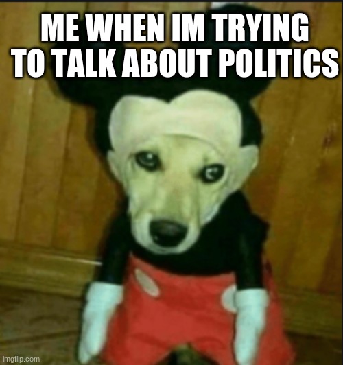 HOLD UP | ME WHEN IM TRYING TO TALK ABOUT POLITICS | image tagged in politics,memes,hold up | made w/ Imgflip meme maker