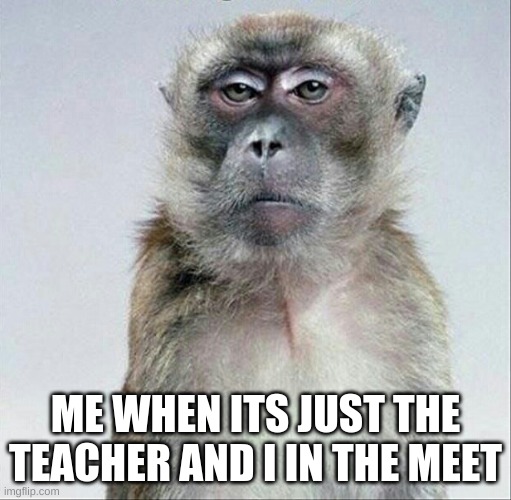 Blank face stare | ME WHEN ITS JUST THE TEACHER AND I IN THE MEET | image tagged in blank face stare | made w/ Imgflip meme maker