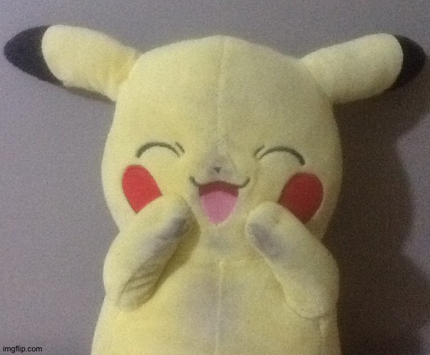 3 years old Pikachu plushie reveal, meet Pepperoni. :) (I named it Pepperoni because of the cheeks) | image tagged in pikachu | made w/ Imgflip meme maker