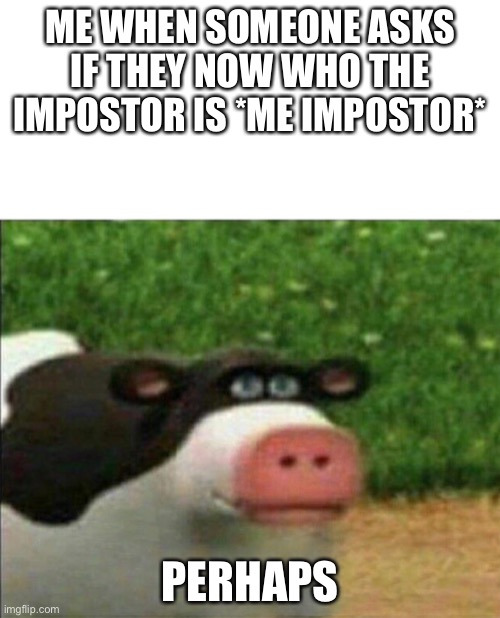 Among us be like | ME WHEN SOMEONE ASKS IF THEY NOW WHO THE IMPOSTOR IS *ME IMPOSTOR*; PERHAPS | image tagged in perhaps cow | made w/ Imgflip meme maker