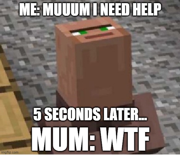 Uhm... this is my brother | ME: MUUUM I NEED HELP; 5 SECONDS LATER... MUM: WTF | image tagged in minecraft,brother,fun,gaming,pc gaming | made w/ Imgflip meme maker