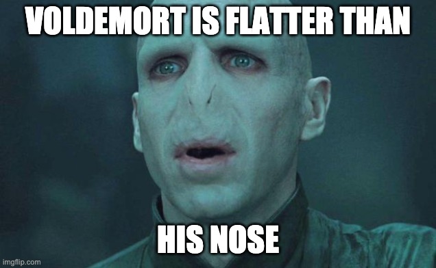 harry potter meme | VOLDEMORT IS FLATTER THAN; HIS NOSE | image tagged in voldemort | made w/ Imgflip meme maker