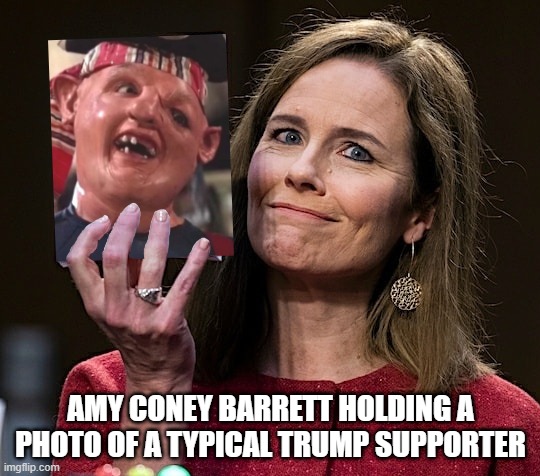 Amy Coney Barrett Holding Trump Supporter Photo | AMY CONEY BARRETT HOLDING A PHOTO OF A TYPICAL TRUMP SUPPORTER | image tagged in donald trump | made w/ Imgflip meme maker