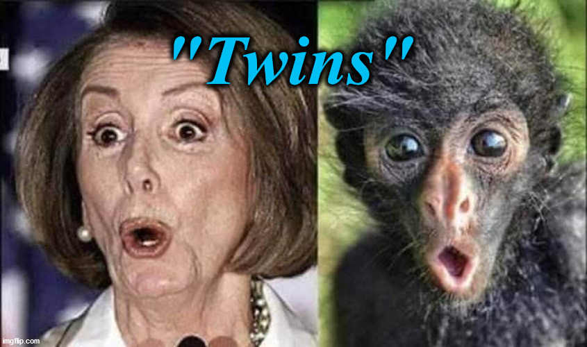 twins | "Twins" | image tagged in twins | made w/ Imgflip meme maker