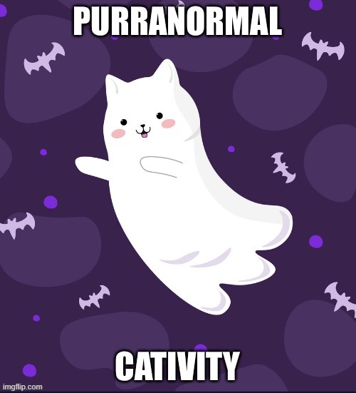 image tagged in ghost,cats,spooky,halloween,paranormal,cute | made w/ Imgflip meme maker