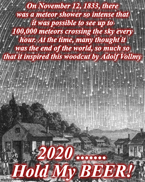 meteor shower | On November 12, 1833, there was a meteor shower so intense that it was possible to see up to 100,000 meteors crossing the sky every hour. At the time, many thought it was the end of the world, so much so that it inspired this woodcut by Adolf Vollmy; 2020 ....... Hold My BEER! | image tagged in meteor shower | made w/ Imgflip meme maker