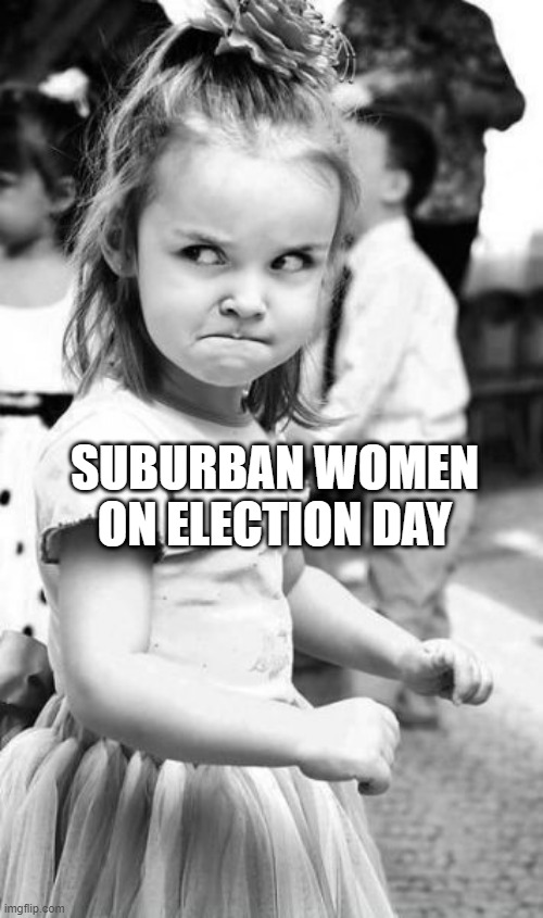 Suburban Women on Election Day | SUBURBAN WOMEN ON ELECTION DAY | image tagged in memes | made w/ Imgflip meme maker
