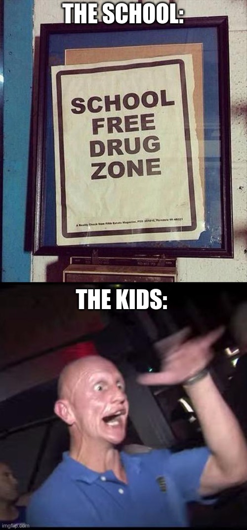 Don't go to this school... | THE SCHOOL:; THE KIDS: | image tagged in drugs crazy guy,you had one job | made w/ Imgflip meme maker
