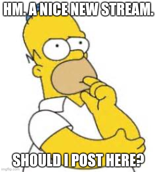 Homer Simpson Hmmmm | HM. A NICE NEW STREAM. SHOULD I POST HERE? | image tagged in homer simpson hmmmm | made w/ Imgflip meme maker