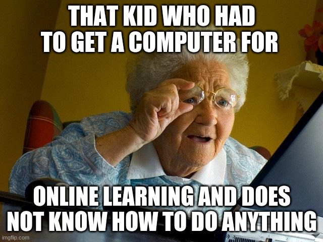Grandma Finds The Internet | THAT KID WHO HAD TO GET A COMPUTER FOR; ONLINE LEARNING AND DOES NOT KNOW HOW TO DO ANYTHING | image tagged in memes,grandma finds the internet | made w/ Imgflip meme maker