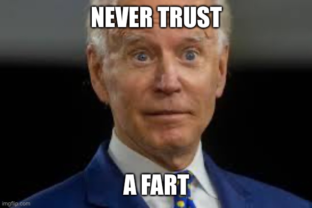 Never trust a fart | NEVER TRUST; A FART | image tagged in politics | made w/ Imgflip meme maker