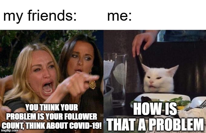 Uh oh | my friends:; me:; YOU THINK YOUR PROBLEM IS YOUR FOLLOWER COUNT, THINK ABOUT COVID-19! HOW IS THAT A PROBLEM | image tagged in memes,woman yelling at cat | made w/ Imgflip meme maker