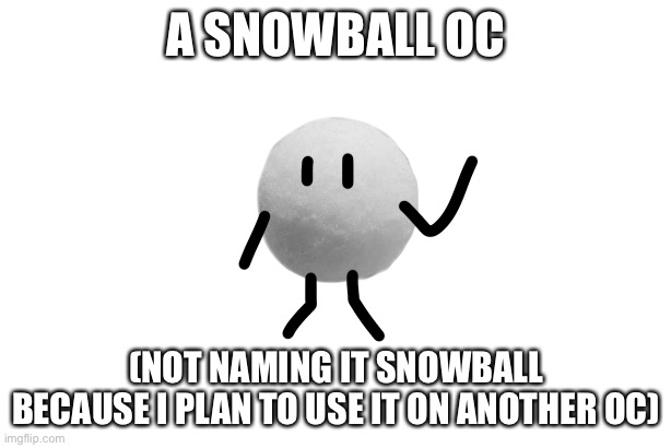 A SNOWBALL OC; (NOT NAMING IT SNOWBALL BECAUSE I PLAN TO USE IT ON ANOTHER OC) | made w/ Imgflip meme maker